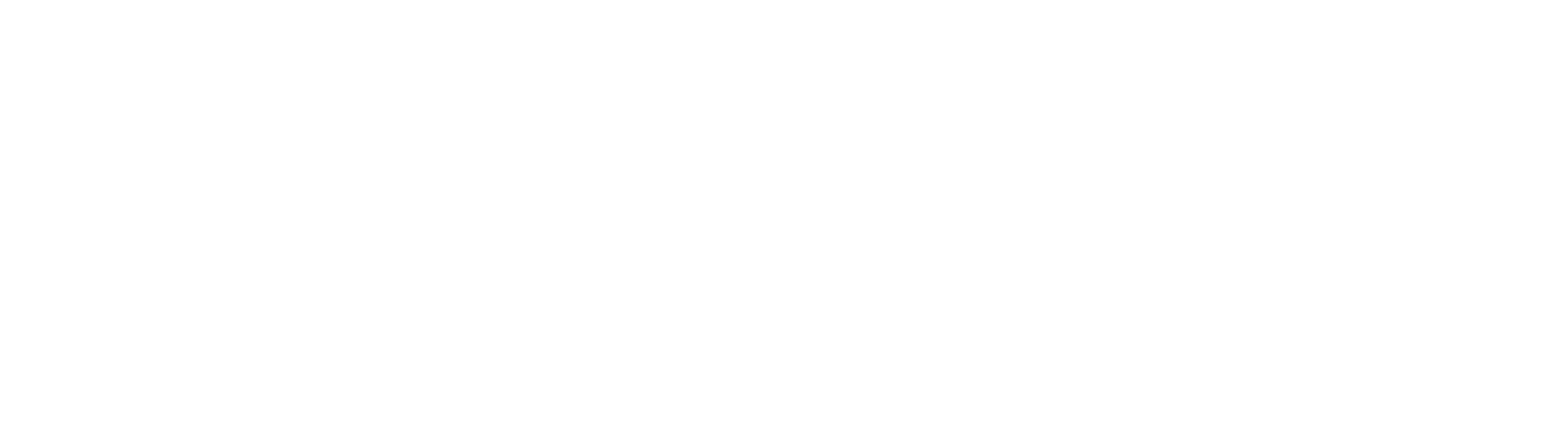 Prime_Logo_White_1000px